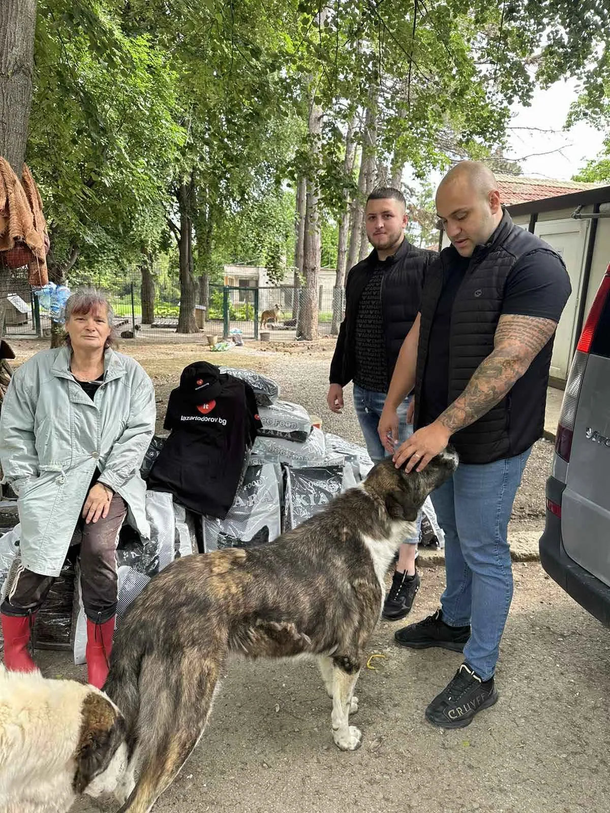 İnsanlar, köpeklerin gösterebildiği kadar sevgi veremez.