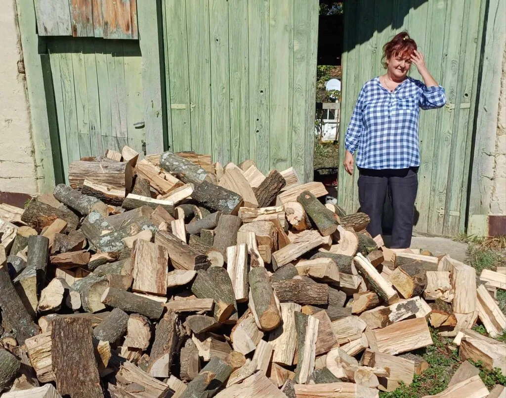 The Lazar Todorov Foundation donated 5 cubic meters of firewood to a family in financial hardship