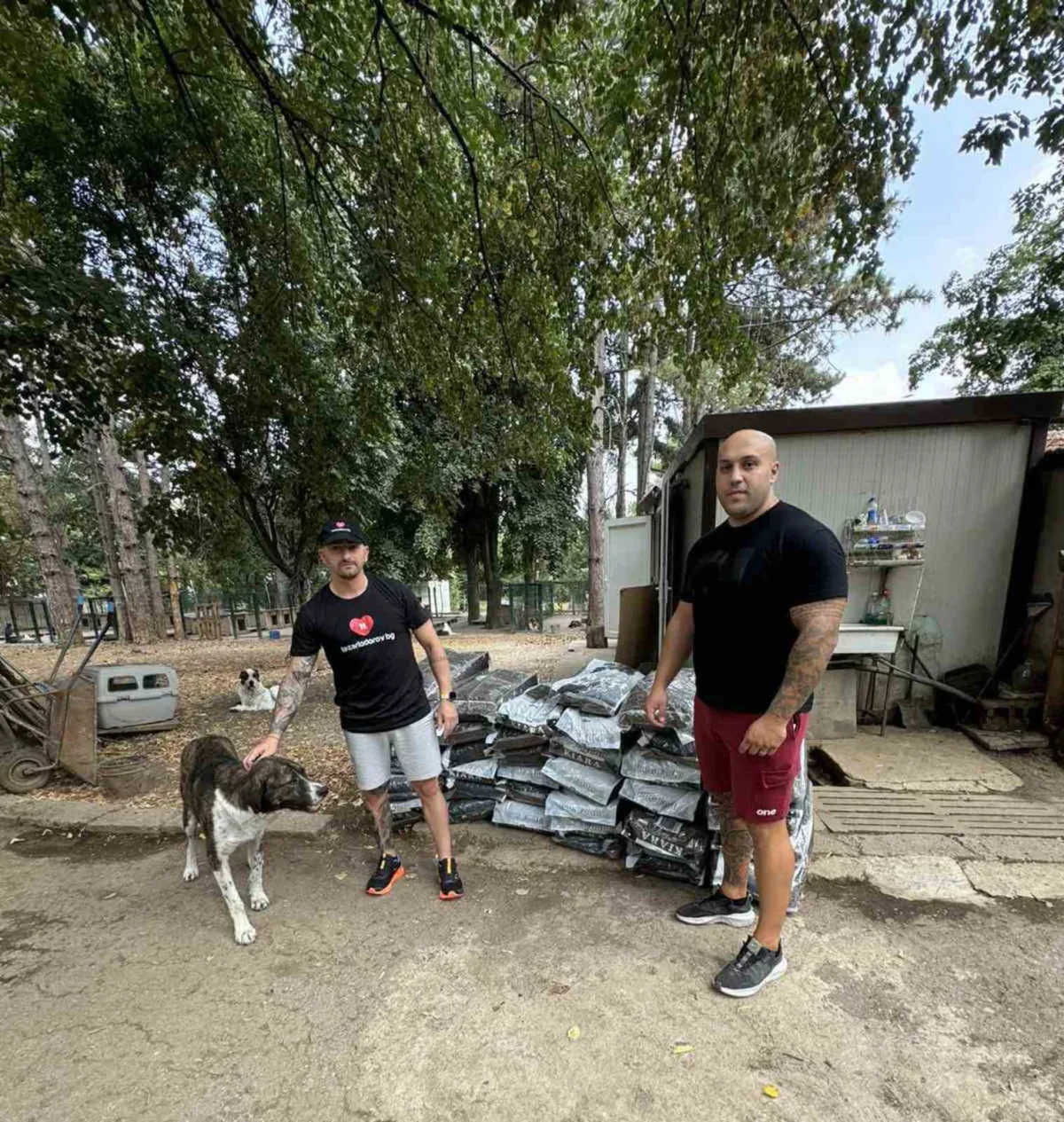 Futtersäcke im Wert von 1.000 Lewa für das Hundetierheim in Veliki Preslav