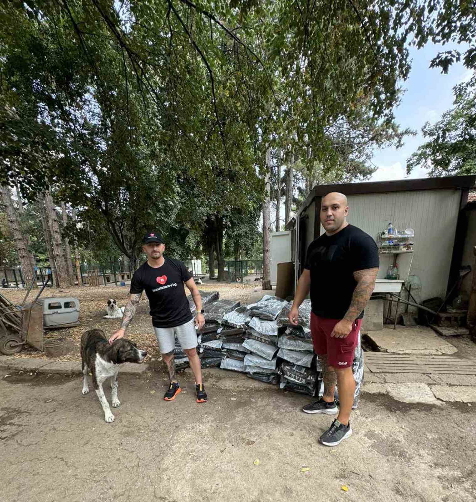 Изображение на блог